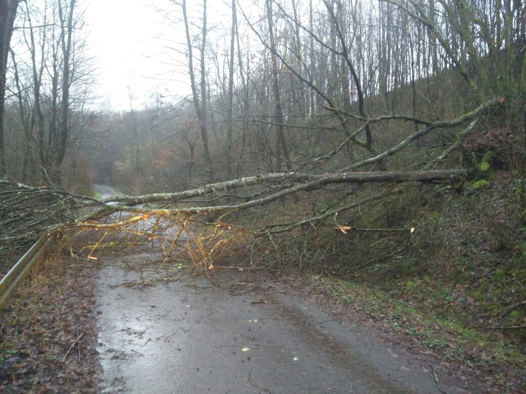 EInsatz Kutzhof 6-1-17