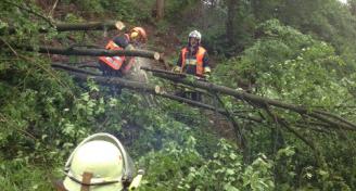 Einsatzkräfte aus Eiweiler beim Beseitigen des Baumes